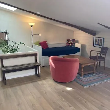 Apartment Le Grenier Du Vissou